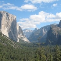 Quantitative  Specialists